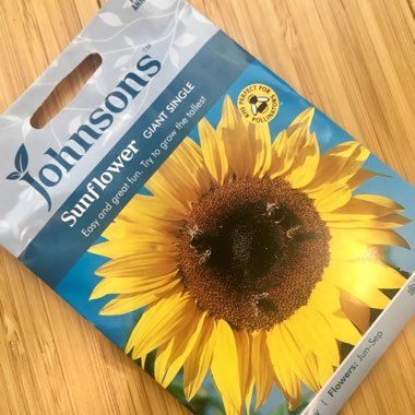 Sunflower 'Giant Single'