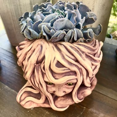 Echeveria Doppler