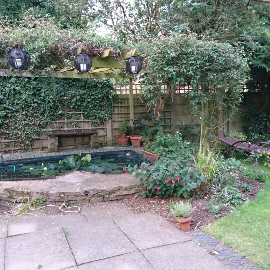 Zoe's garden